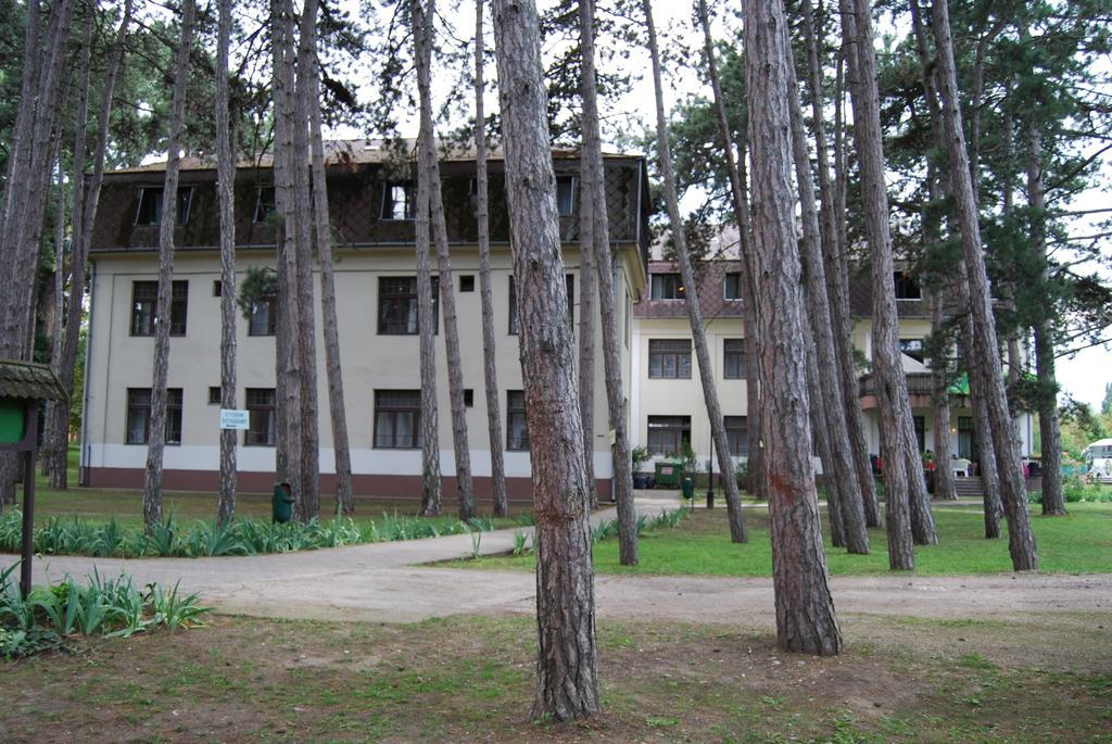 شيوفوك Hotel Stella المظهر الخارجي الصورة